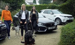 Puppy Power: Best Cars for Carrying Dogs Is a Cute Comparison