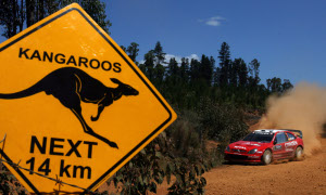 Rally Australia to Set Up Extra Grandstands for September Event