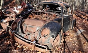 Rare 1956 VW Beetle Gets Unearthed From Its Decade-Long Grave in the Woods