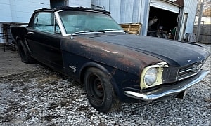Rare 1964 1/2 Ford Mustang Convertible K-Code Emerges From Long-Term Storage