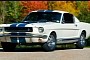 Rare 1965 Shelby GT350 Fastback Is Looking for a New Home