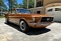 Rare 1967 Ford Mustang S-Code Flexes a Mighty 390, Pristine Burnt Amber Exterior