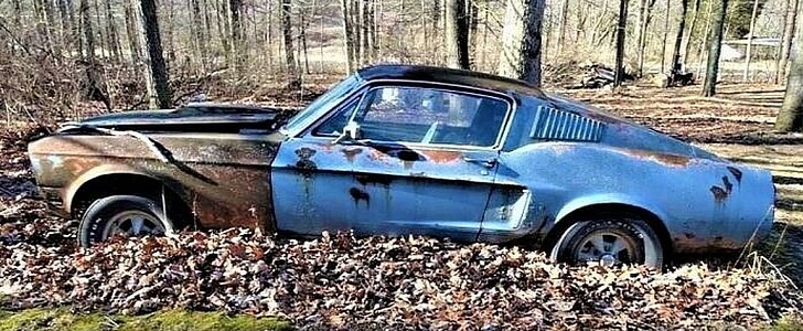 abandoned 1968 Ford Mustang Cobra Jet