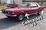 Rare 1968.5 Ford Mustang Coupe Flexes a Performance Option We All Love