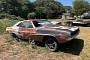 Rare 1970 Dodge Challenger With Mysterious V8 Spent Decades in a Junkyard, Gets Saved
