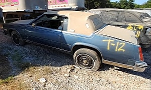 Rare 1985 Cadillac Eldorado Ragtop Is a Junkyard Gem, What Would You Pay To Restore It?