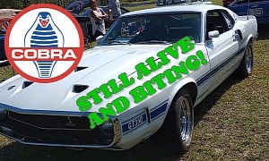 Rare and Unrestored 1969 Shelby Mustang GT350 Proudly Displays Battle Scars
