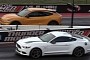 Rare Ford Mustang GT/CS Drags Mustang Mach-E, the Outcome Was Not as Expected