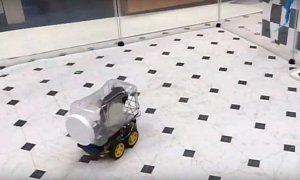 Ratatouille-Like Smart Rats Learn How to Drive Tiny Cars