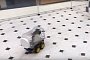 Ratatouille-Like Smart Rats Learn How to Drive Tiny Cars