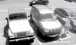 Revenge of Grandma: Old Lady Smashes Punk’s Windshield for Stealing Her Parking Spot