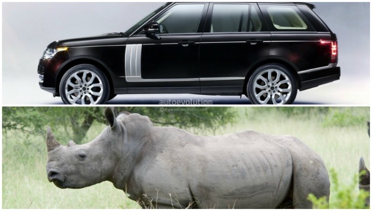 Rhino vs Range Rover