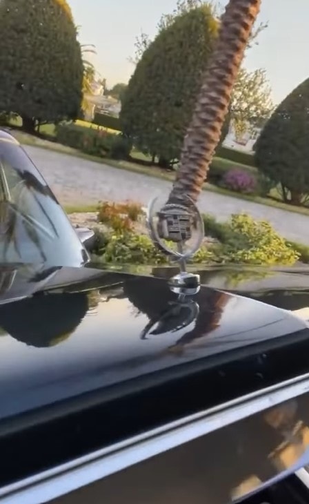 Rick Ross Promotes His Car Show Reminiscing About Stealing Cadillac Logos  as a Kid - autoevolution