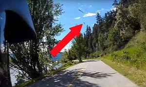 Rider Gets Fish-Bombed By Osprey Near Lake