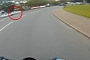 Rider Honks Instead of Braking, Crashes Silly for Nothing