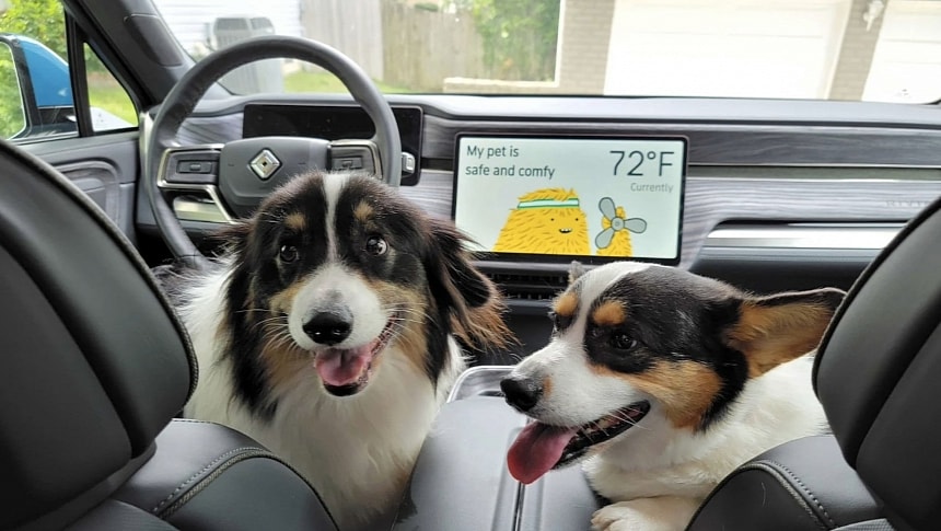 Rivian uses UWB technology to offer personalized features for dog lovers