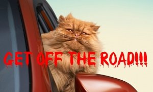 Road Rage: the Dr. Jekyll/Mr. Hyde Syndrome Behind the Wheel