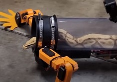 Robotic Exoskeleton Gives Snakes Their Legs Back, Corrects Evolutionary Mistake