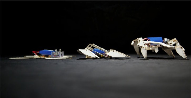 Robots Of The Future Are Origami-style and Able To Self Assemble