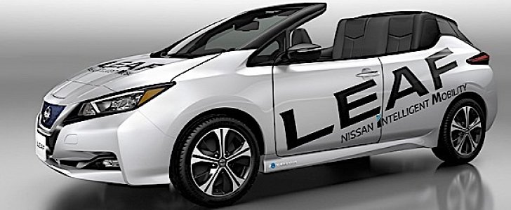 Nissan Leaf open car