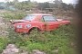 Rough 1964 1/2 Mustang Rotting Away in a Field Is Ready to Go for a Dump Truck