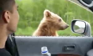 Russian Bear Begs for Food from Cars on Motorway