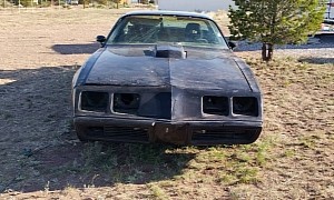 Rust-Free 1981 Pontiac Trans Am Hides a HO Surprise Under the Hood