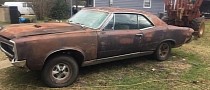 Rusty 1967 Pontiac GTO Was Born with a Rare Paint, Not for the Faint of Heart