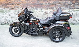 Salamandra Is Not the Custom Harley-Davidson We're Used To, Still Impressive