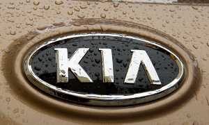 Sales Record for Kia in November