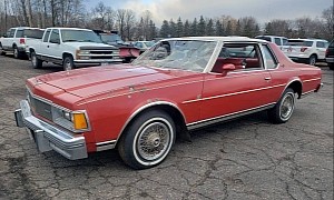 Saved From the Crusher: 1977 Chevy Caprice Parked for 35 Years Flexes 50K Miles