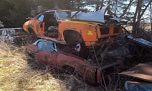 Saved From the Crusher but Still Unlucky: 1969 Pontiac GTO Judge Is a Sad Junkyard Find