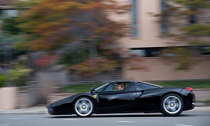 Say Hello to this Female Enzo Owner