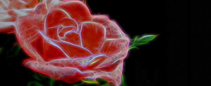 Scientists Build Electronic Circuits Inside a Rose