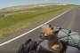 Scooter the Dog Rides the US Coast-to-Coast Eight Times, Raises Funds