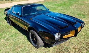 Season Your Garage and Weekends With This Fine 1971 Pontiac Firebird