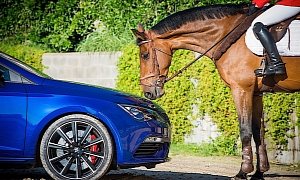SEAT Leon Cupra Races Competition Horse on Obstacle Course