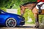 SEAT Leon Cupra Races Competition Horse on Obstacle Course