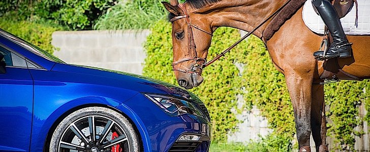 SEST Leon Cupra meets Calgary competition horse