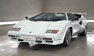 See What It's Like to Detail Highly Valuable White Lamborghini Countachs