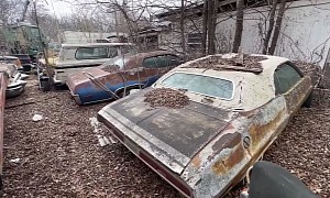Seemingly Abandoned Property Hides Big Hoard of Dodge, Plymouth Muscle Cars
