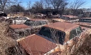 Seemingly Abandoned Property Is Packed With Old Fords and Chevrolets, Rare Gems Included