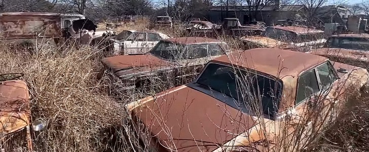 derelict classic cars on seemingly abandoned property