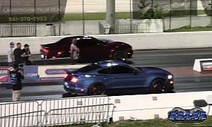 Shelby GT500 Drags Challenger Hellcat and Camaro SS, Someone Gets a Nasty Surprise