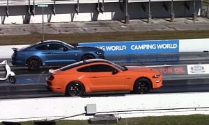 Shelby GT500 Drags Mustang GT and Everything Else, Glory Comes From the Unexpected