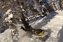 Silly Snowmobile Rider Uses Tree to Stop