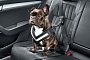 Skoda Launches Seatbelt for Dogs and Other Practical Accessories