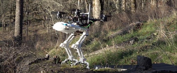 SNAG Bird-Robot Is a Motorized Falcon With Claws and Sensors, Can