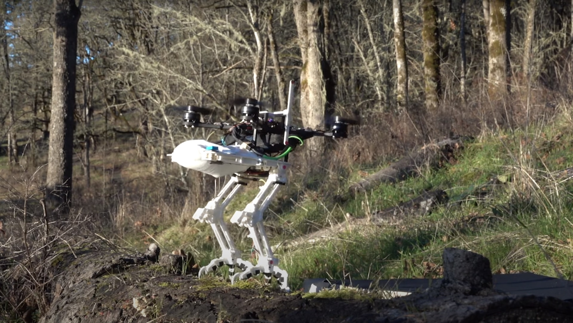 SNAG Bird-Robot Is a Motorized Falcon With Claws and Sensors, Can Be  Attached to Drones - autoevolution