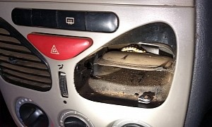 Snake Hides Inside Air Vents and Bites Woman in a Car in Brazil